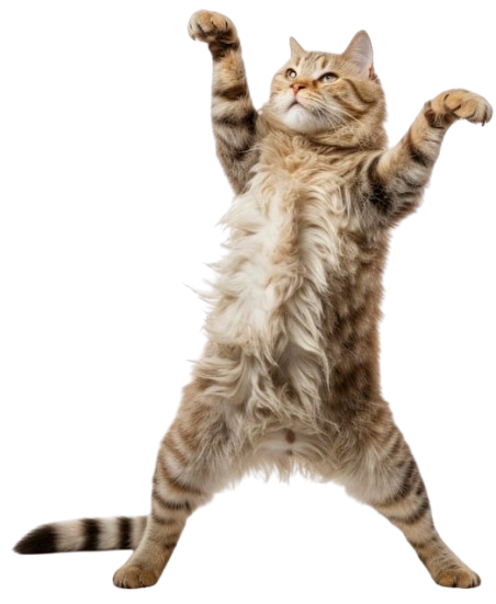 Кот-помощник